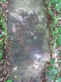 image of grave number 443797